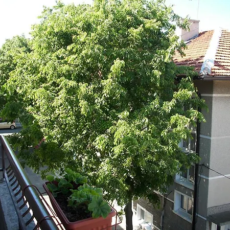 Georgievi 3*